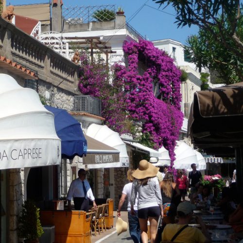 Shopping - Capri