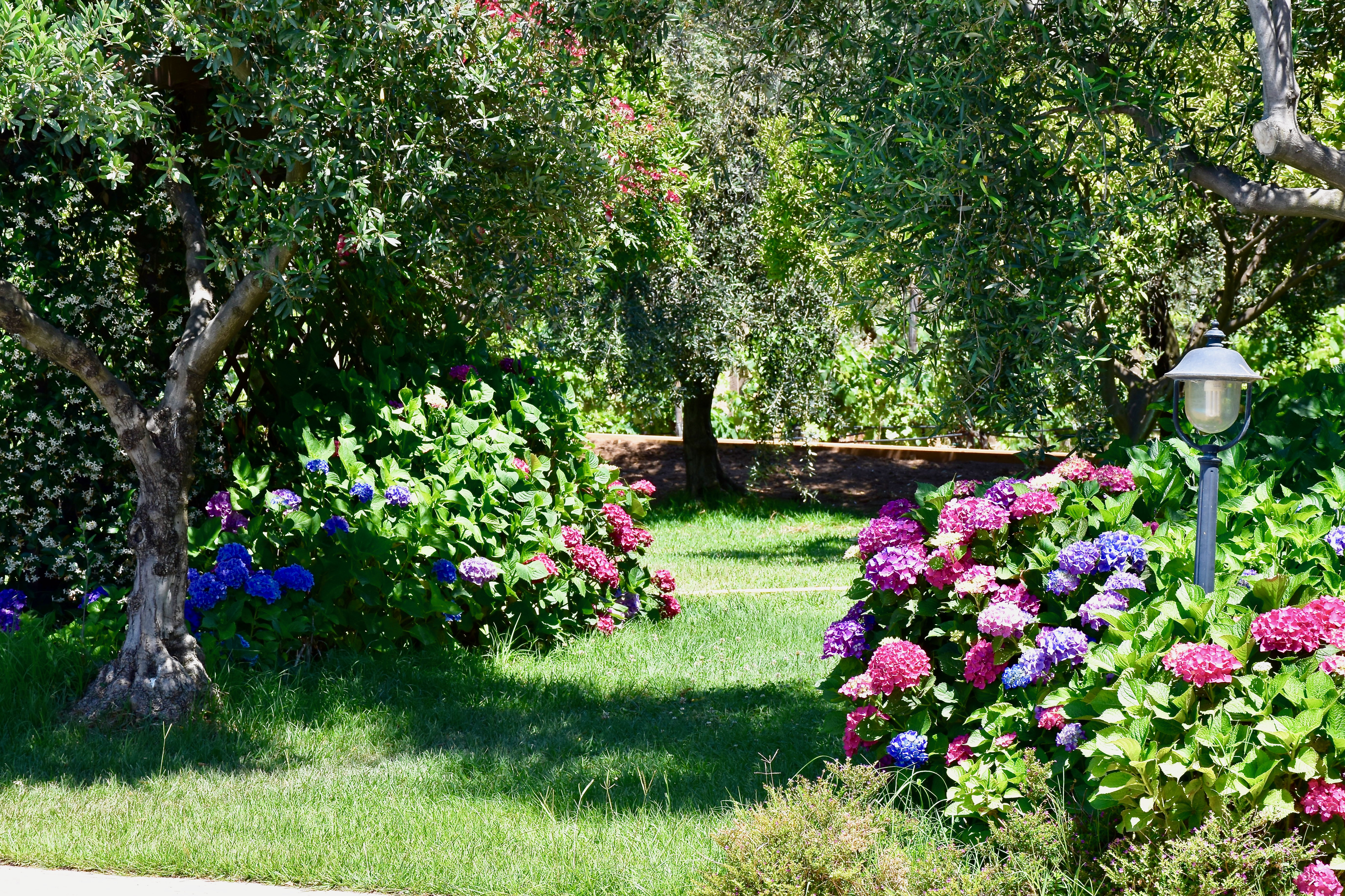 Il Giardino 7