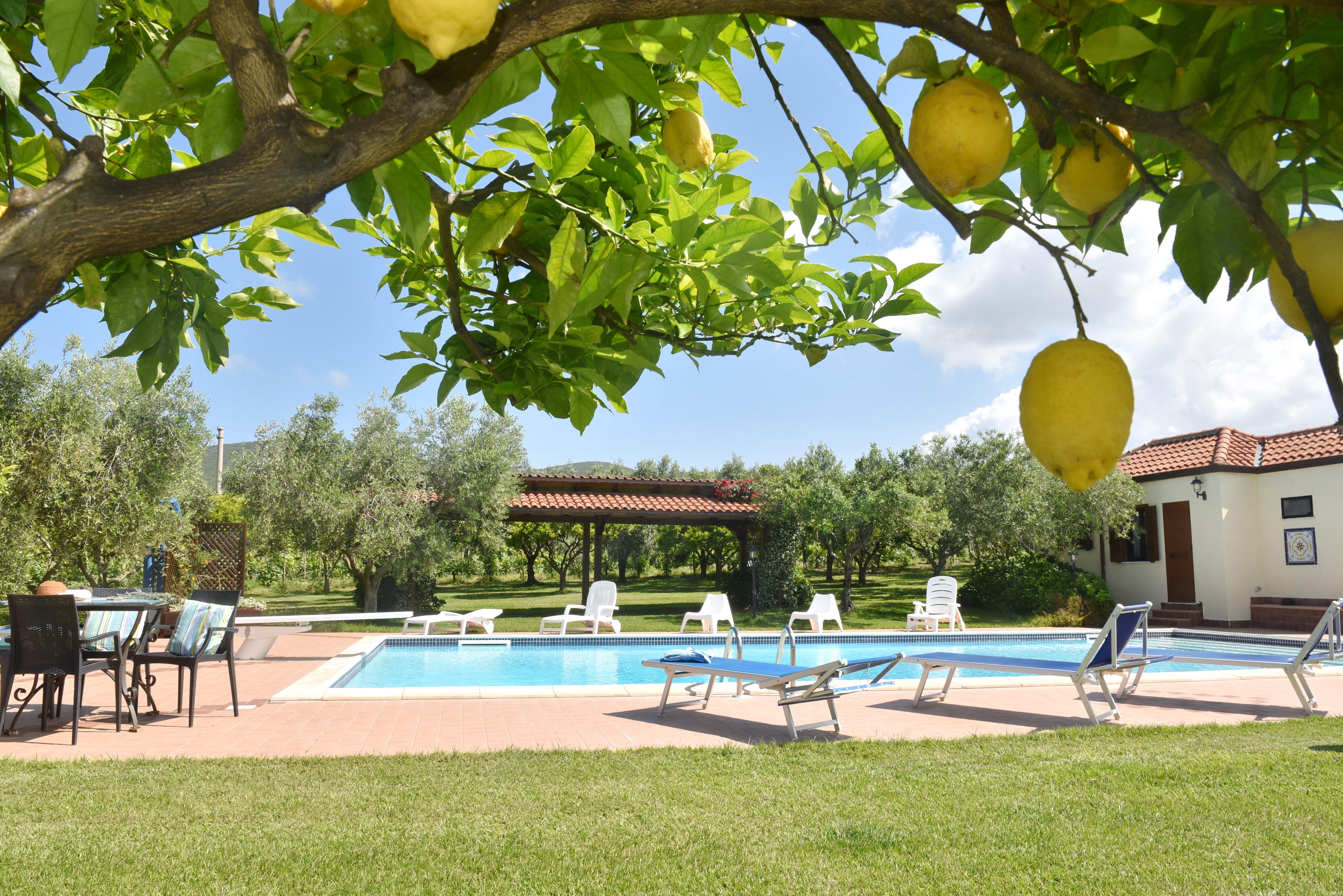 La piscina 1